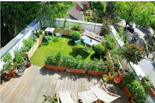 Home & Terrace Gardening